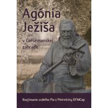 Agónia Ježiša v Getsemanskej záhrade - Páter Pio z Pietrelciny